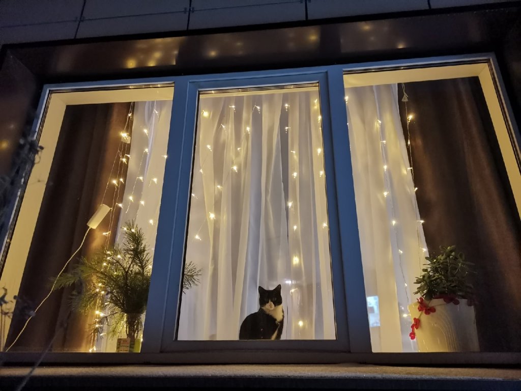 Фото Момент Силы