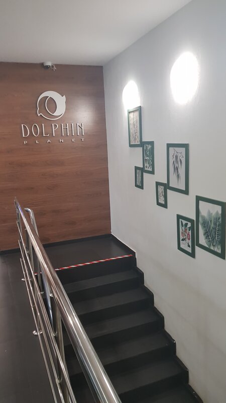 Dolphin Planet Hotel&SPA4 — фото 29