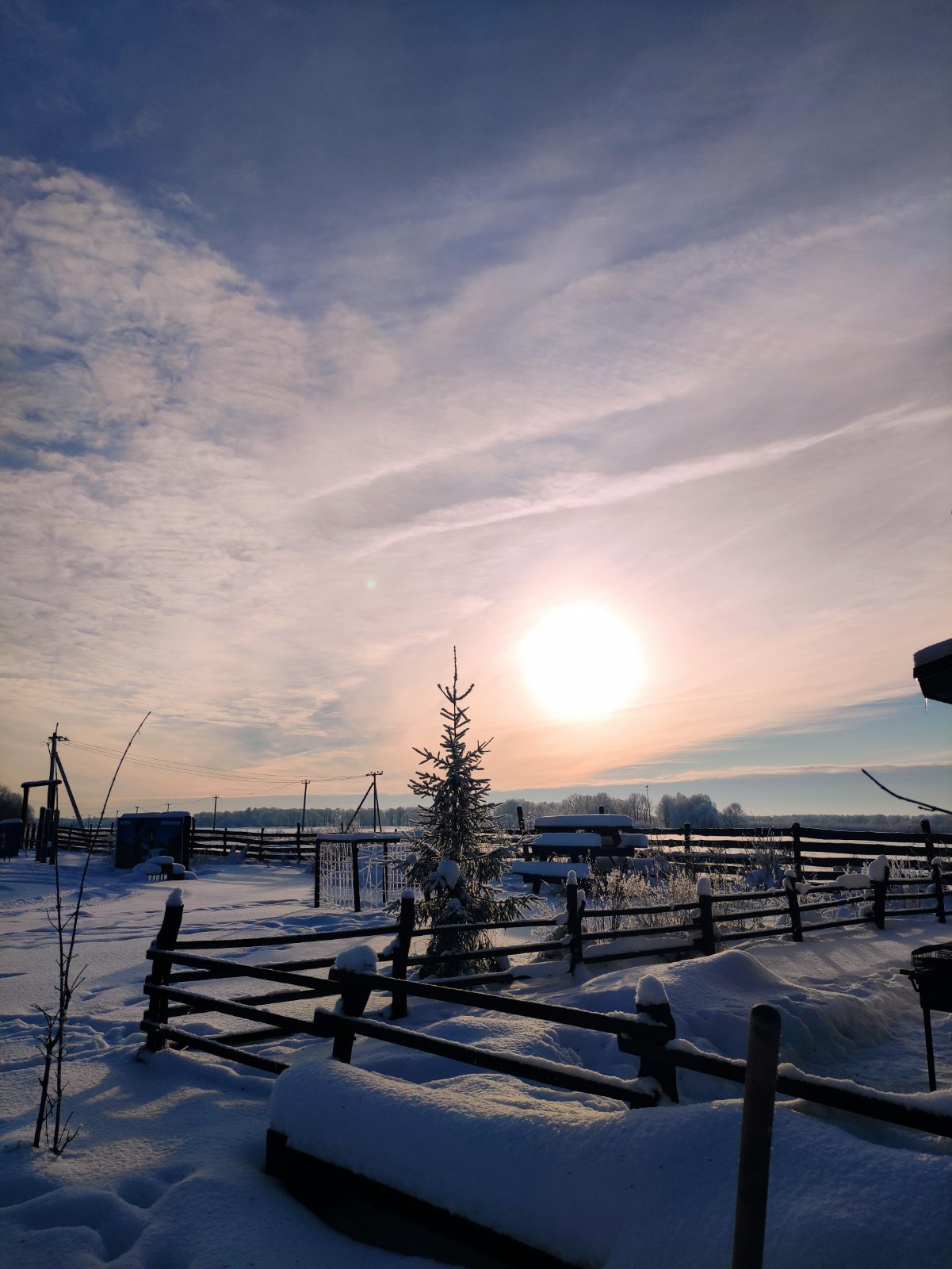 Фото Авиатор