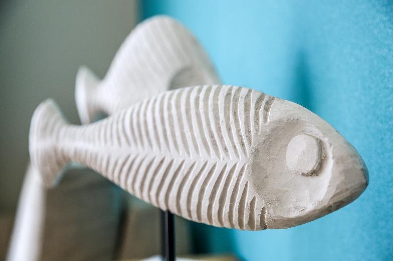 Фото Hotel Praia