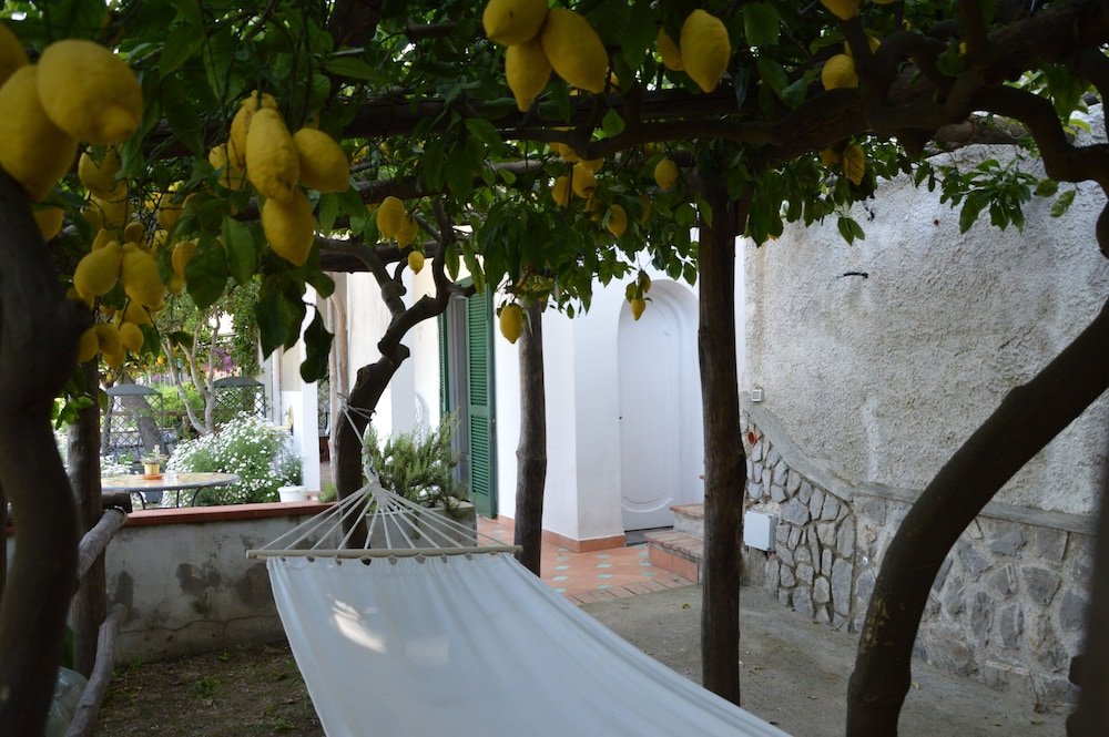 Фото Orto Paradiso