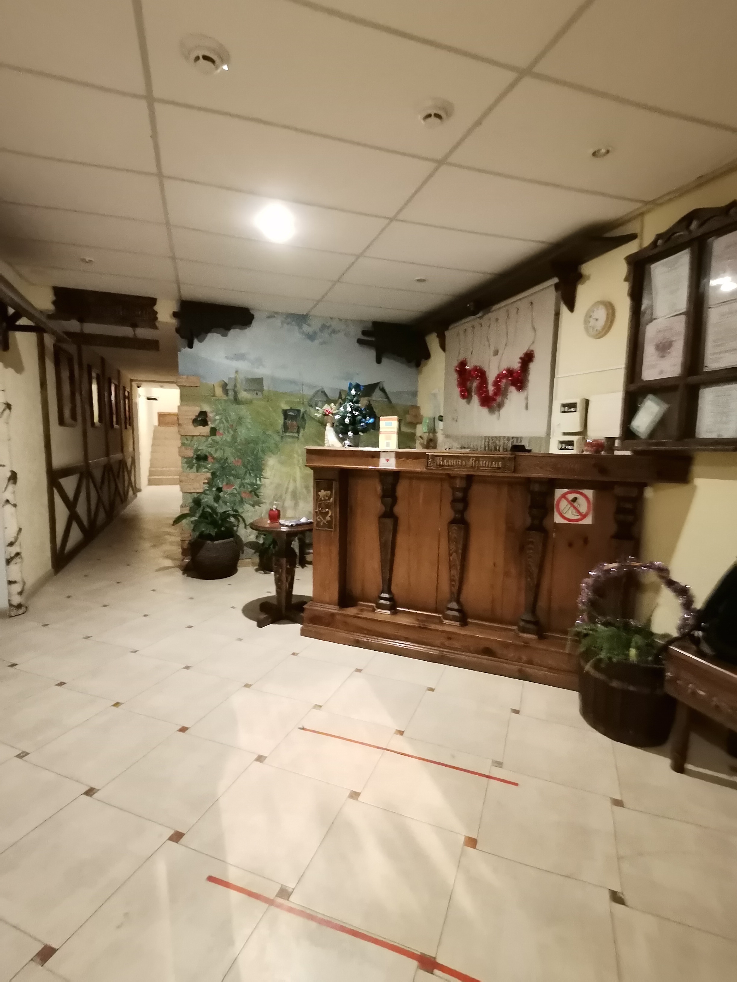 Фото Калина красная