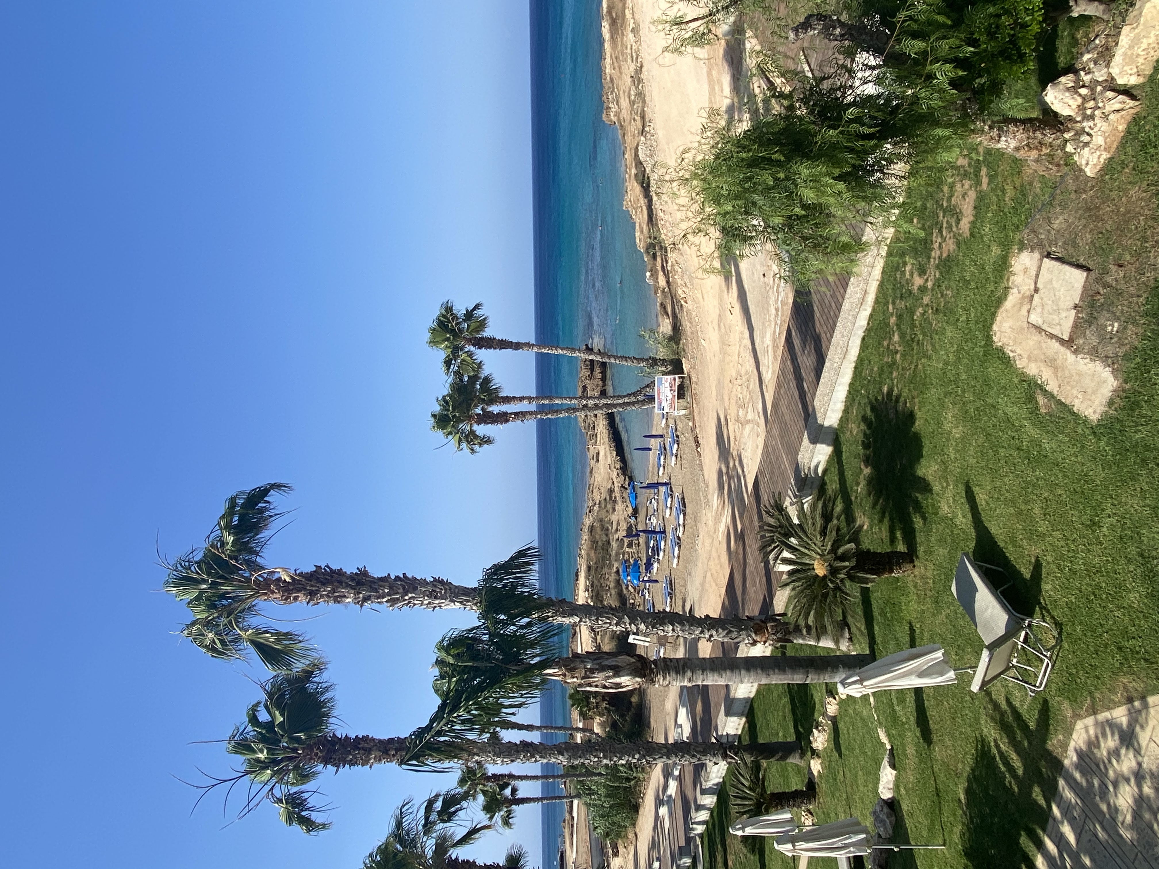 Фото Louis Althea Beach Hotel