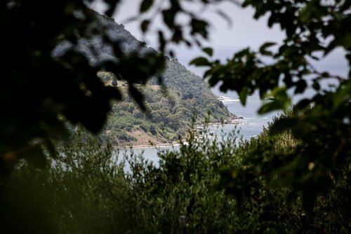 Гостиница La Selva