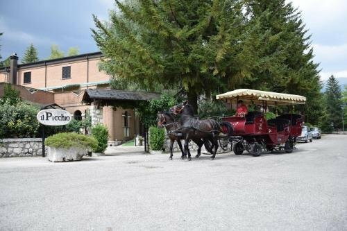 Гостиница Albergo Il Picchio