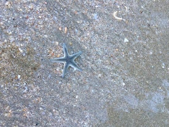 Фото Roong Arun Resort