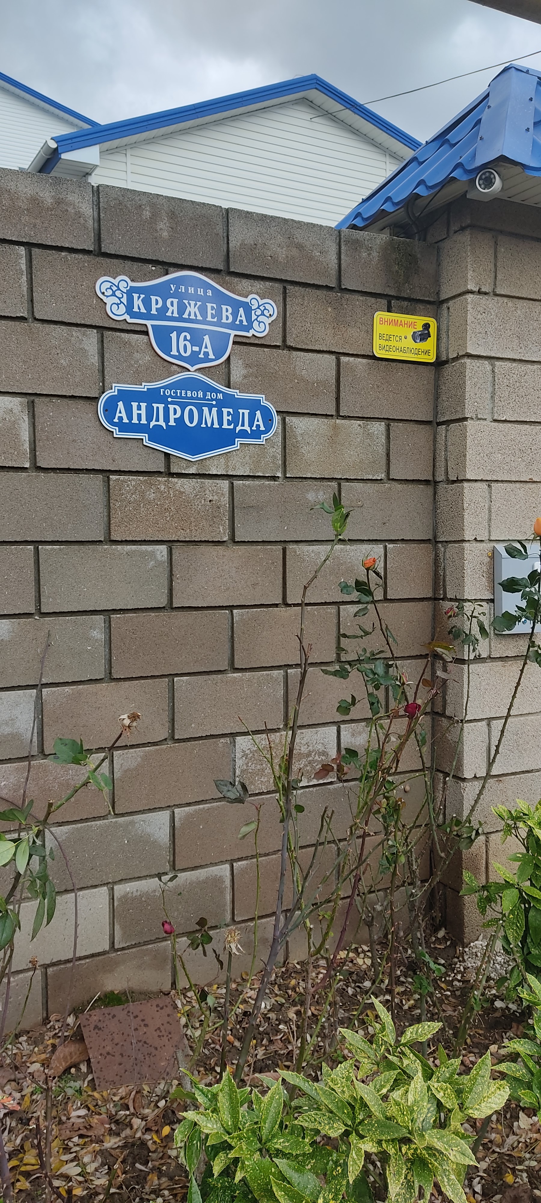 Фото Андромеда