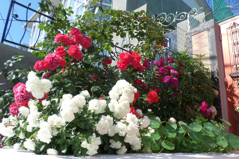 Фото Грин Палац