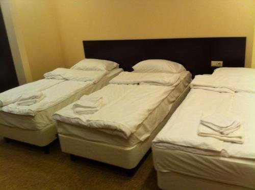 Фото Базилик