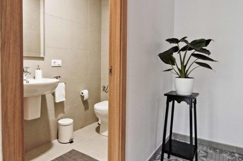 Фото Zalamera B&b