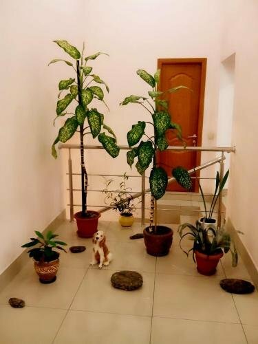 Гостиница Амран во Владикавказе