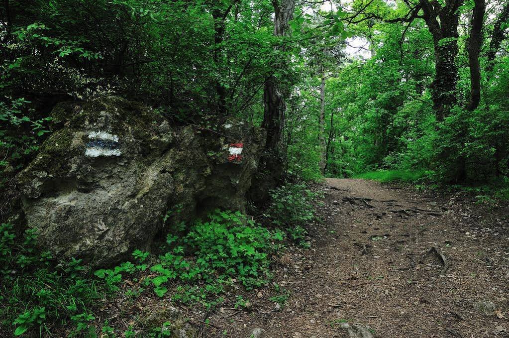 Фото Aurelius Pension