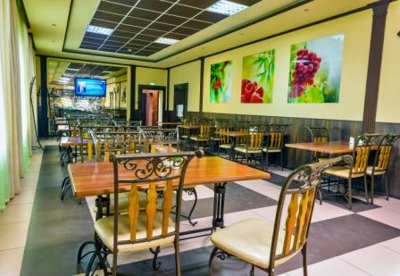 Фото Тополя