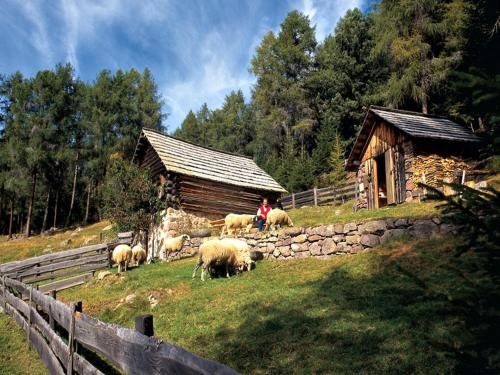 Фото Hotel Linde