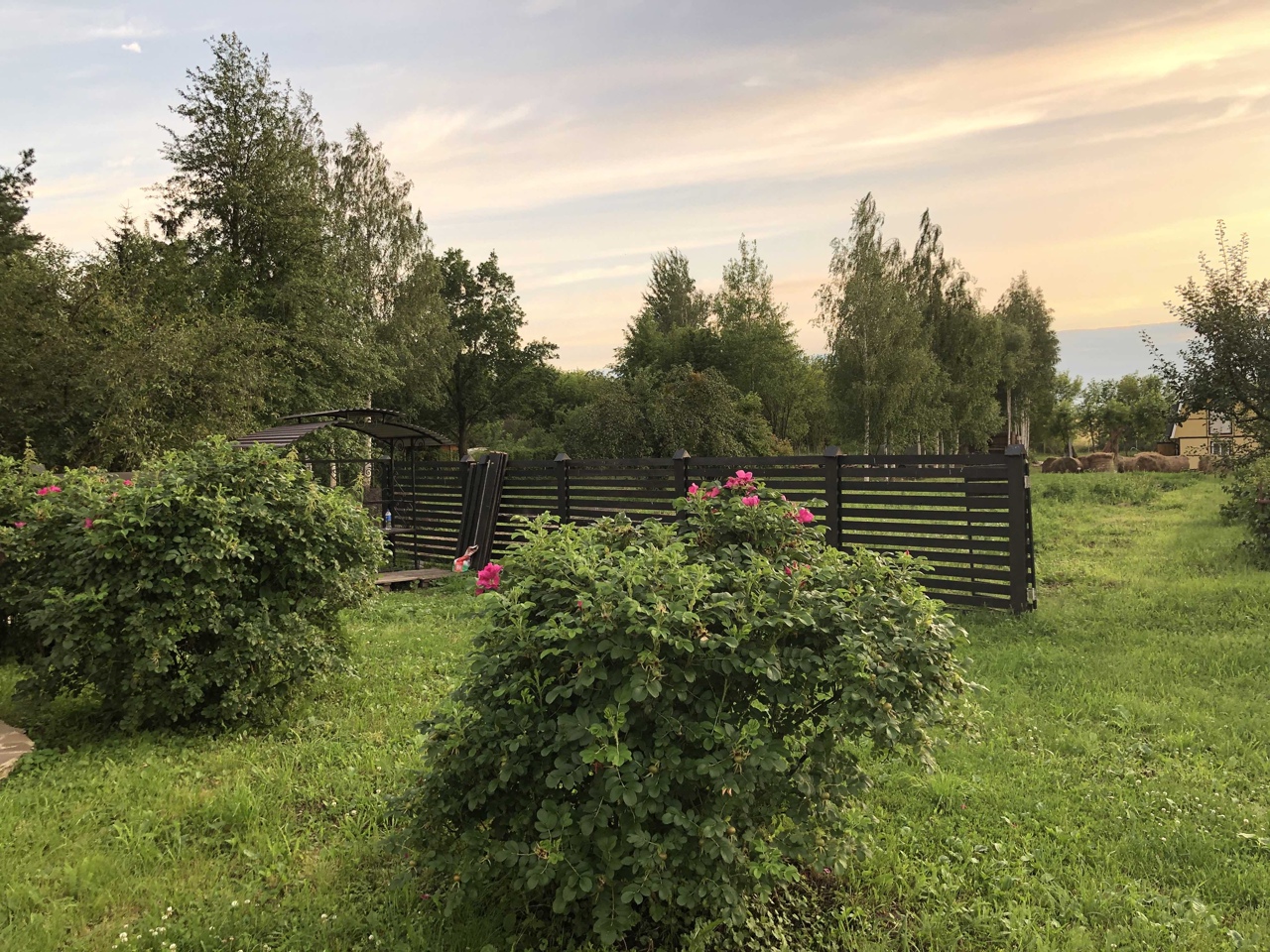 Фото Прованс