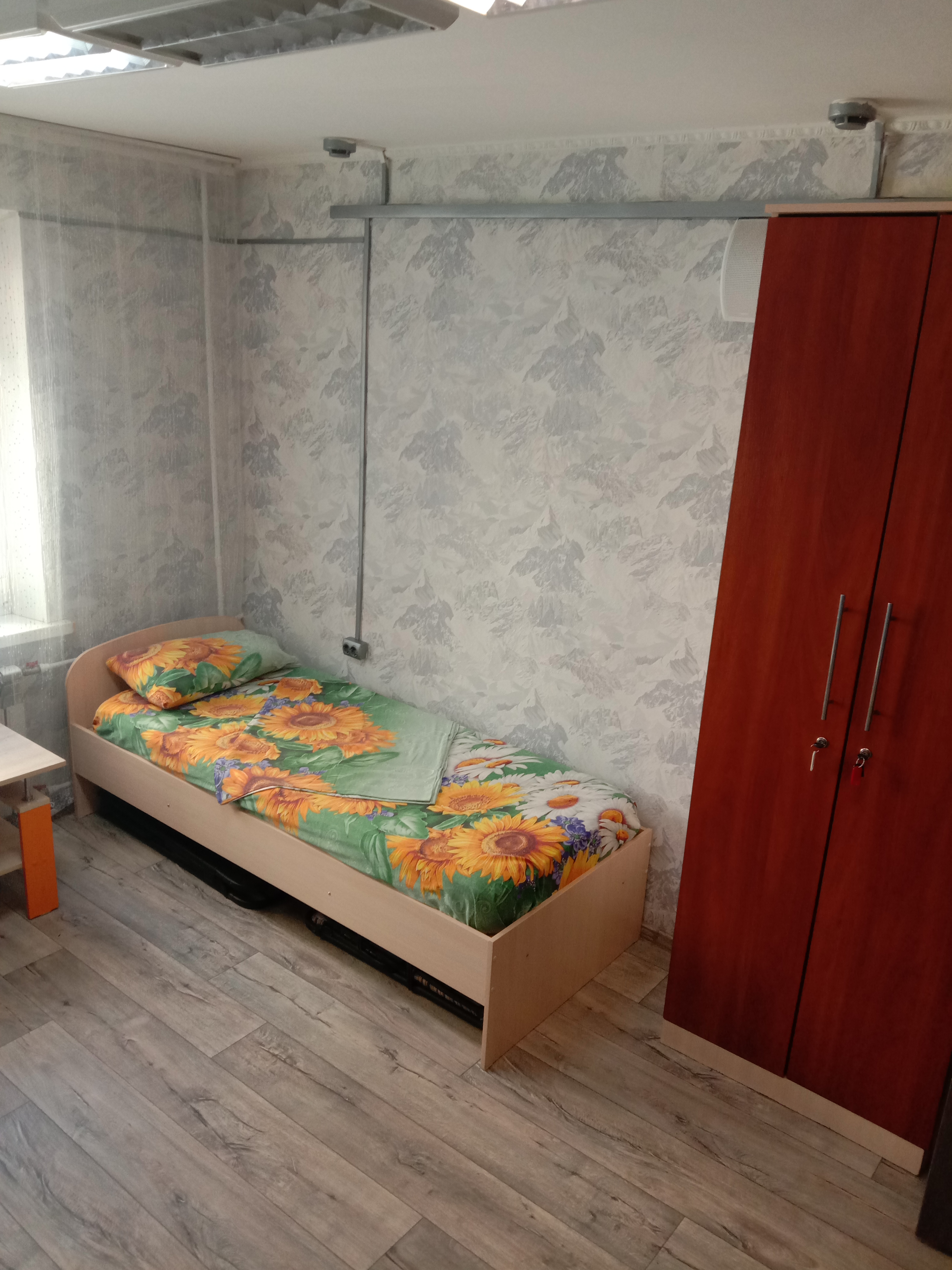 Фото Подсолнух