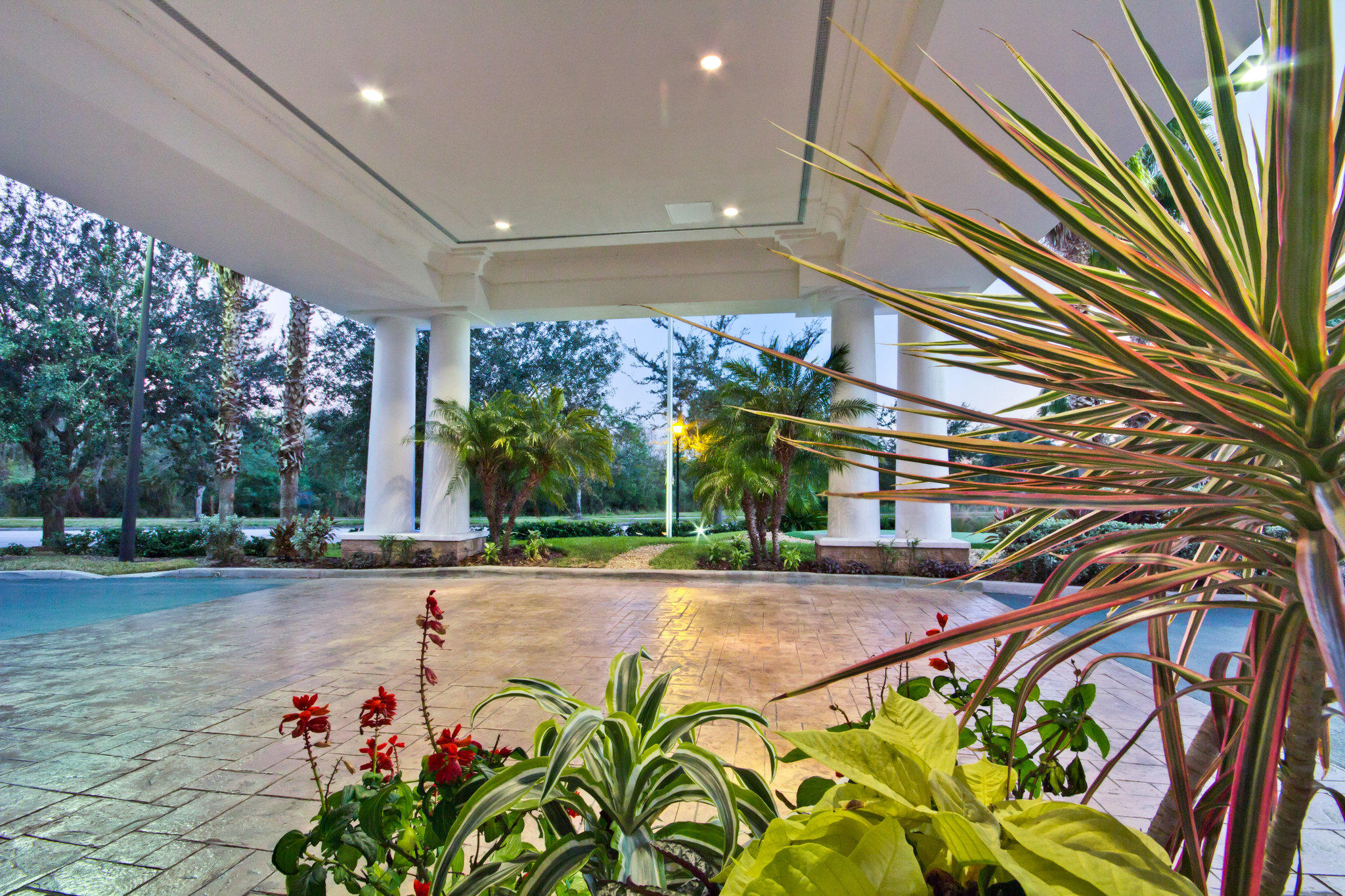 Фото Holiday Inn Express & Suites Tampa I 75 Bruce B. Downs