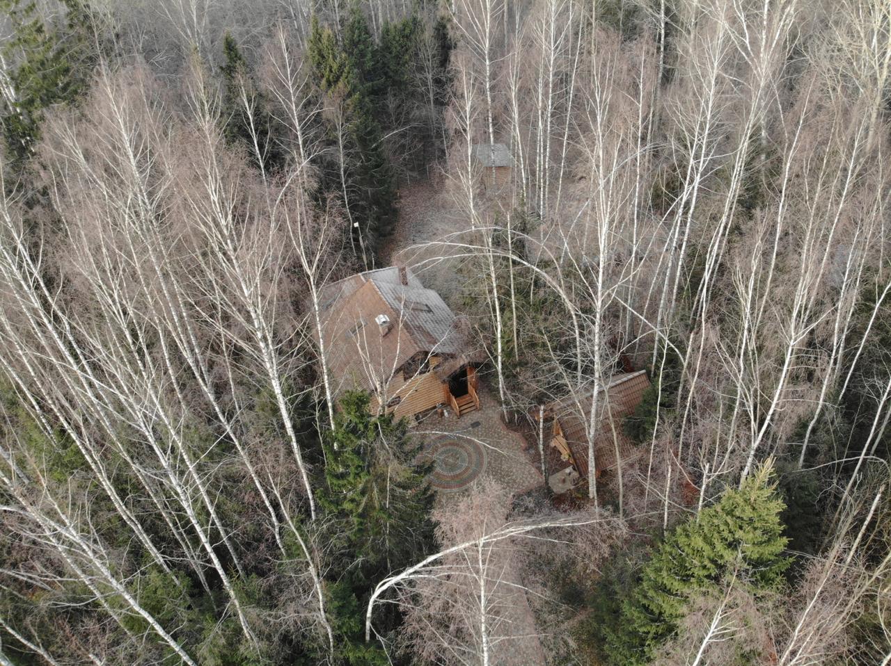 Фото Дикий Лис