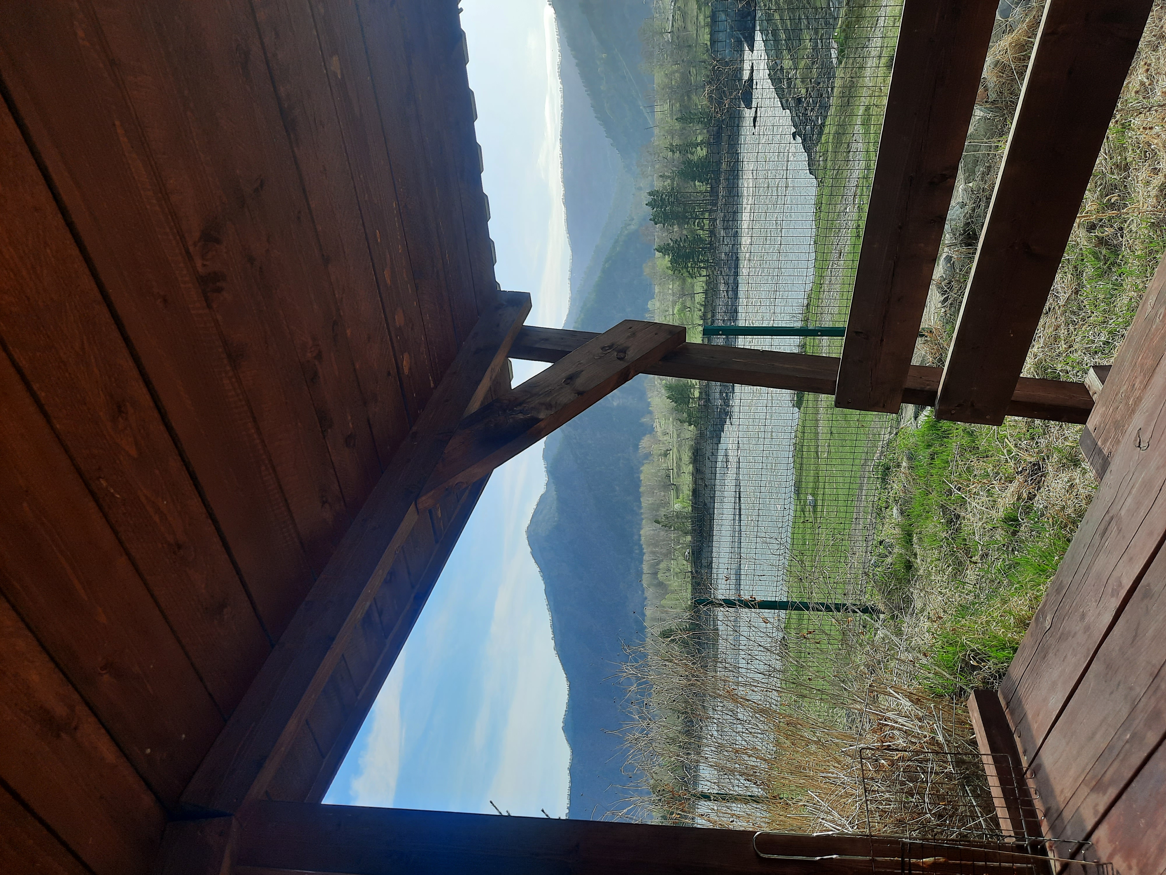 Фото Зубы Дракона