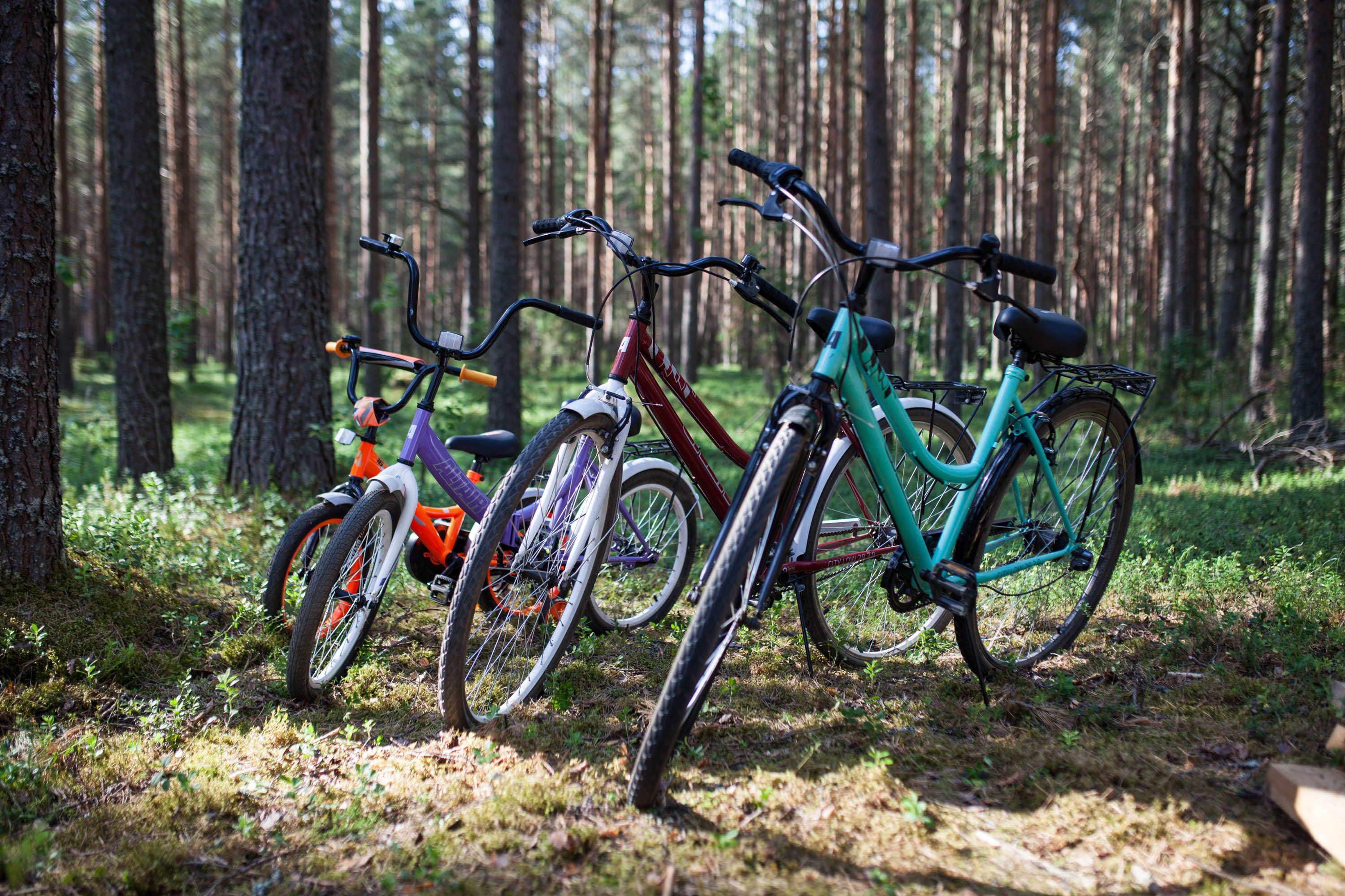 Фото Seliger Wind