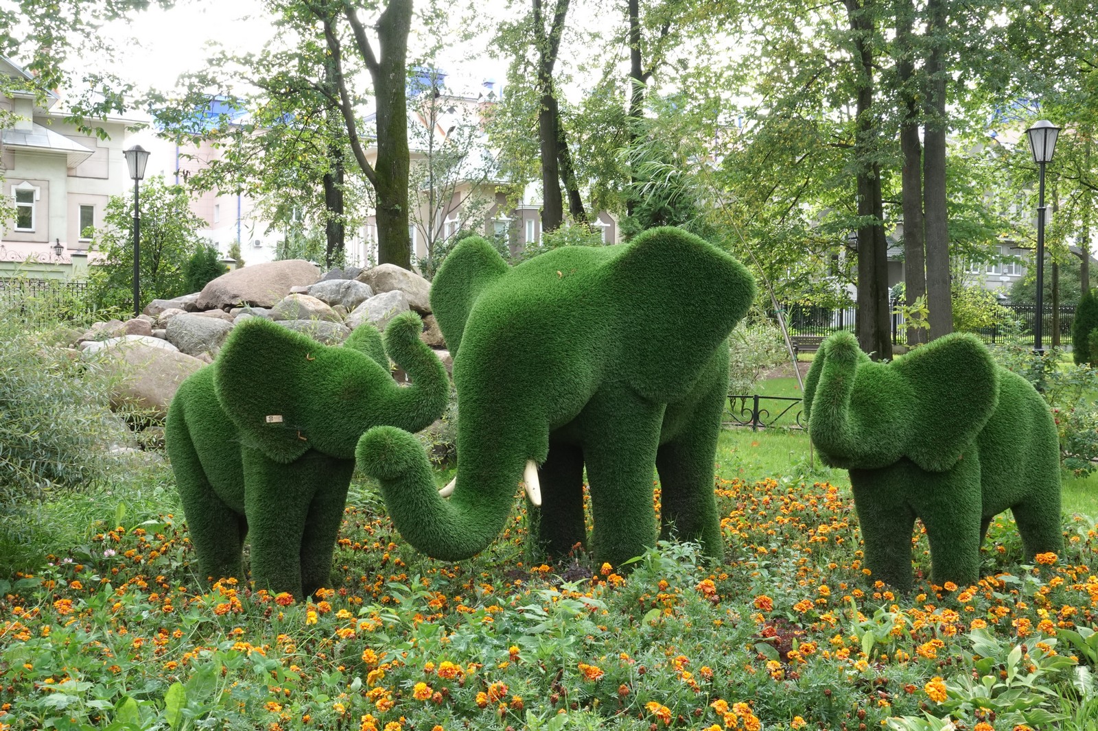 Фото На Введенской