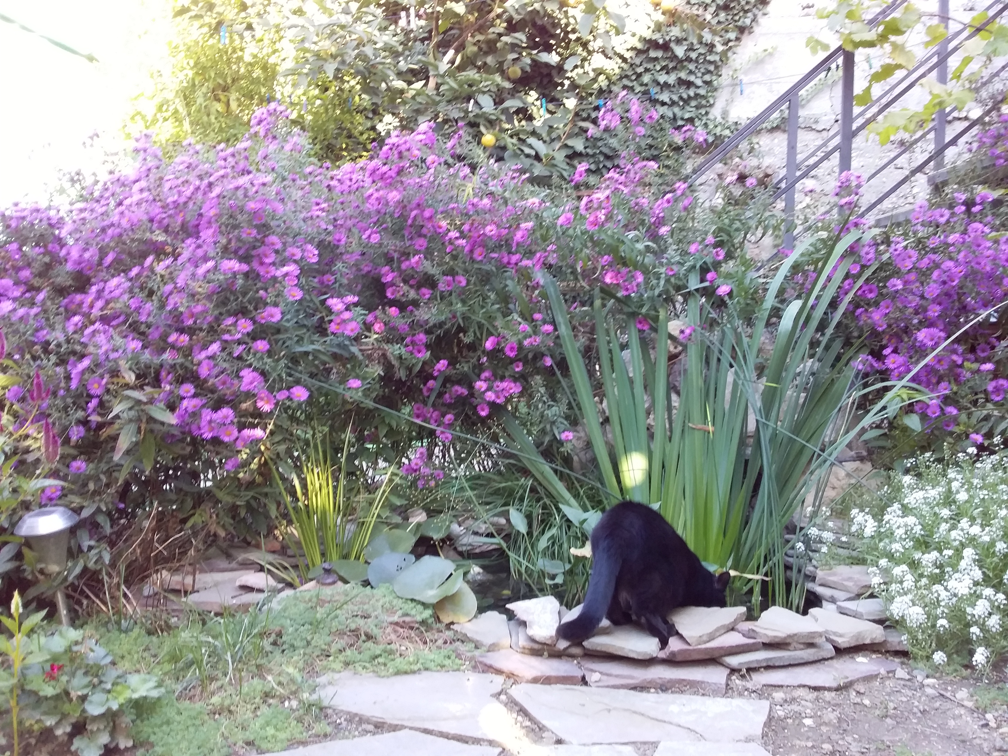 Фото Наталья