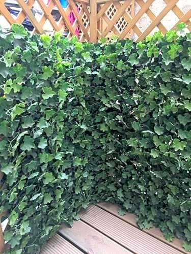 Фото Hotel Monte Baldo