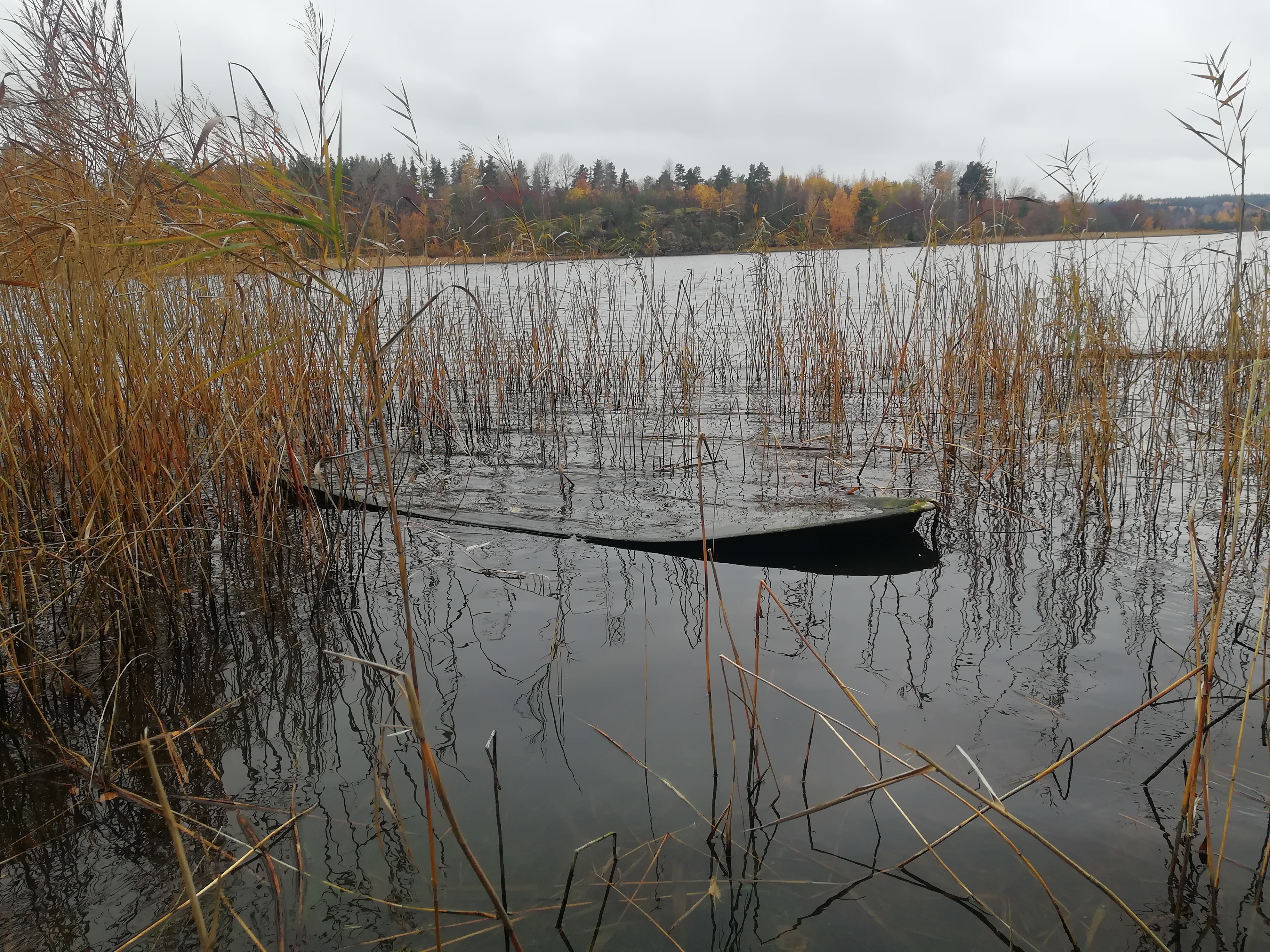 Фото Липпола