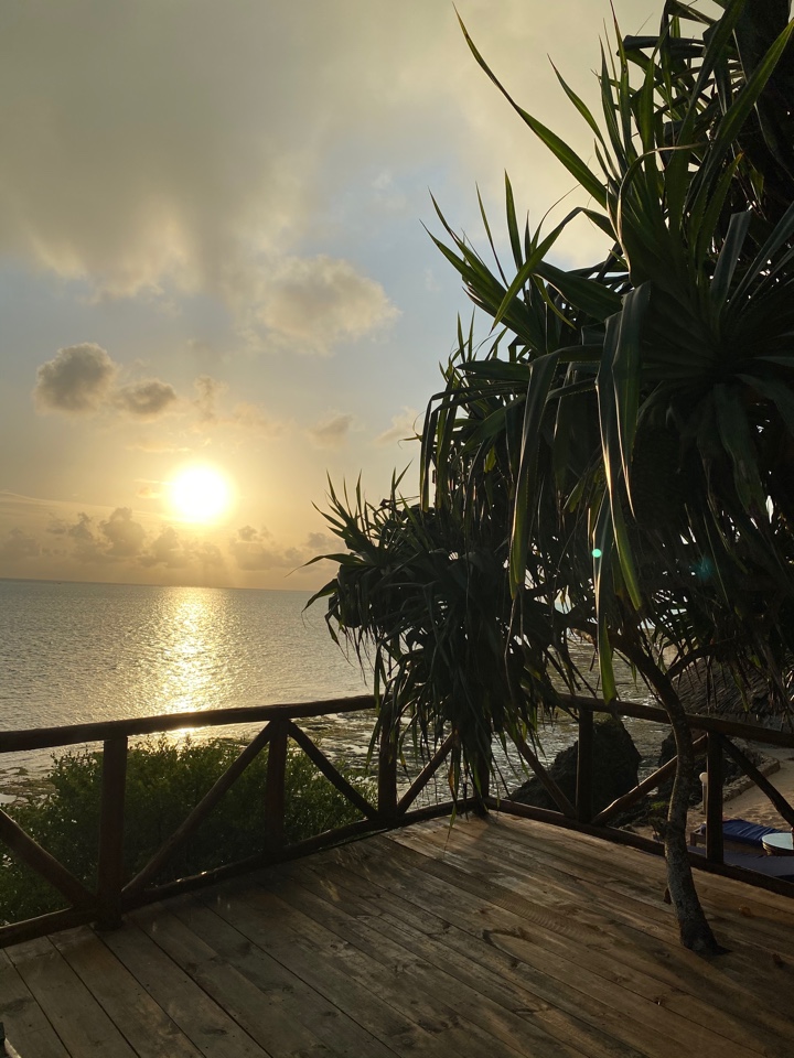 Фото Tembo Palace Hotel