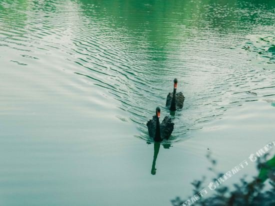 Фото Sheraton Changzhou Wujin Hotel