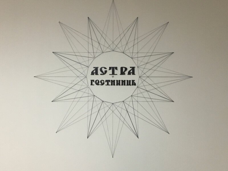Астра — фото 26