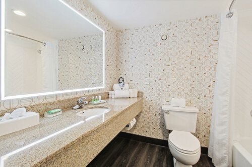 Гостиница Holiday Inn Chicago Nw Crystal Lk Conv Ctr, an Ihg Hotel