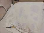 Volosovskaya Tsentralnaya bolnitsa infektsionnoye otdeleniye (Leningrad Region, Volosovskiy rayon, Klopitskoye selskoye poseleniye, derevnya Krasnaya Myza), department of the hospital