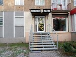 Пивной насос (Proletarskaya Street, 29), beer shop