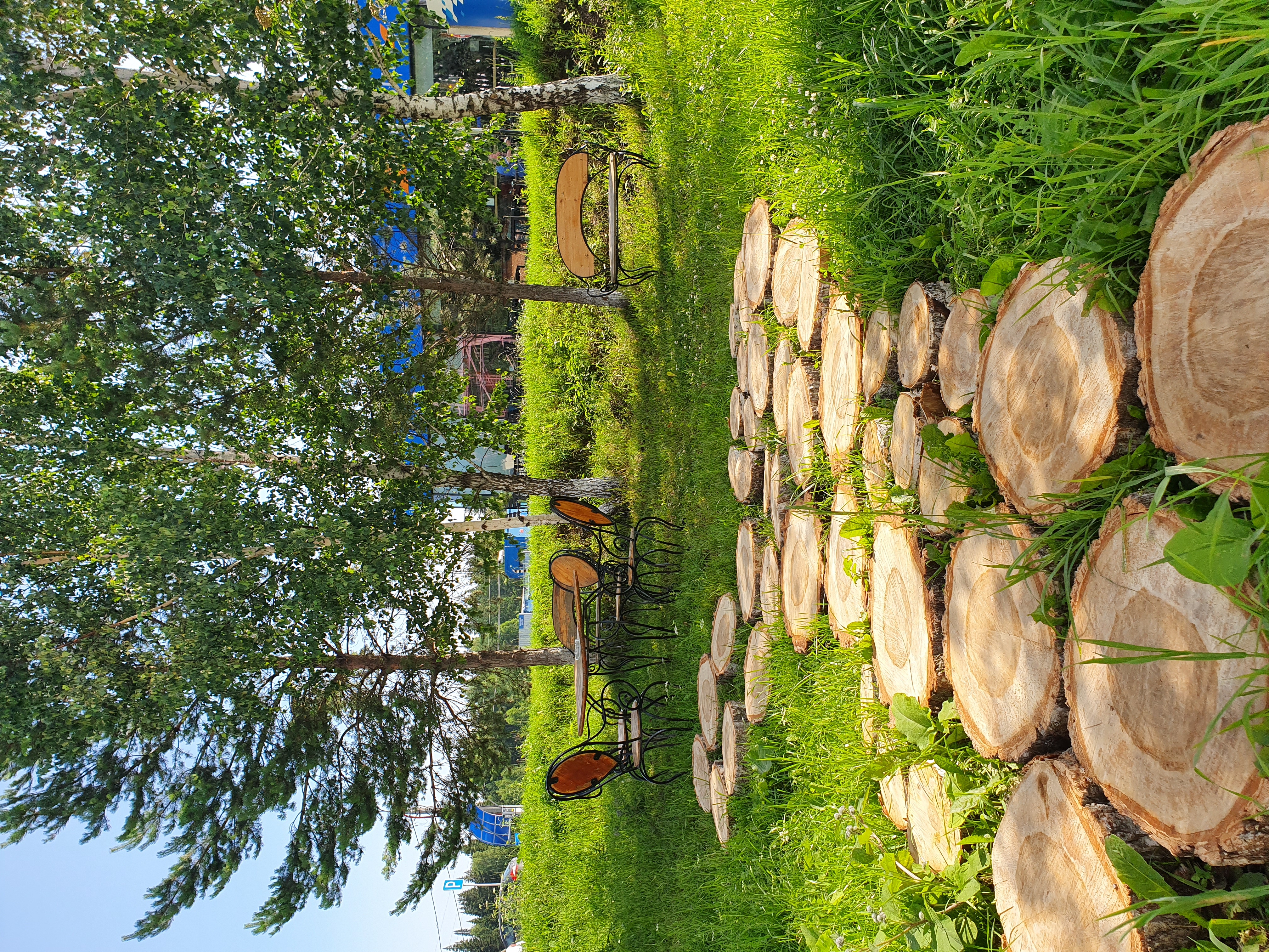 Фото Белый Орёл