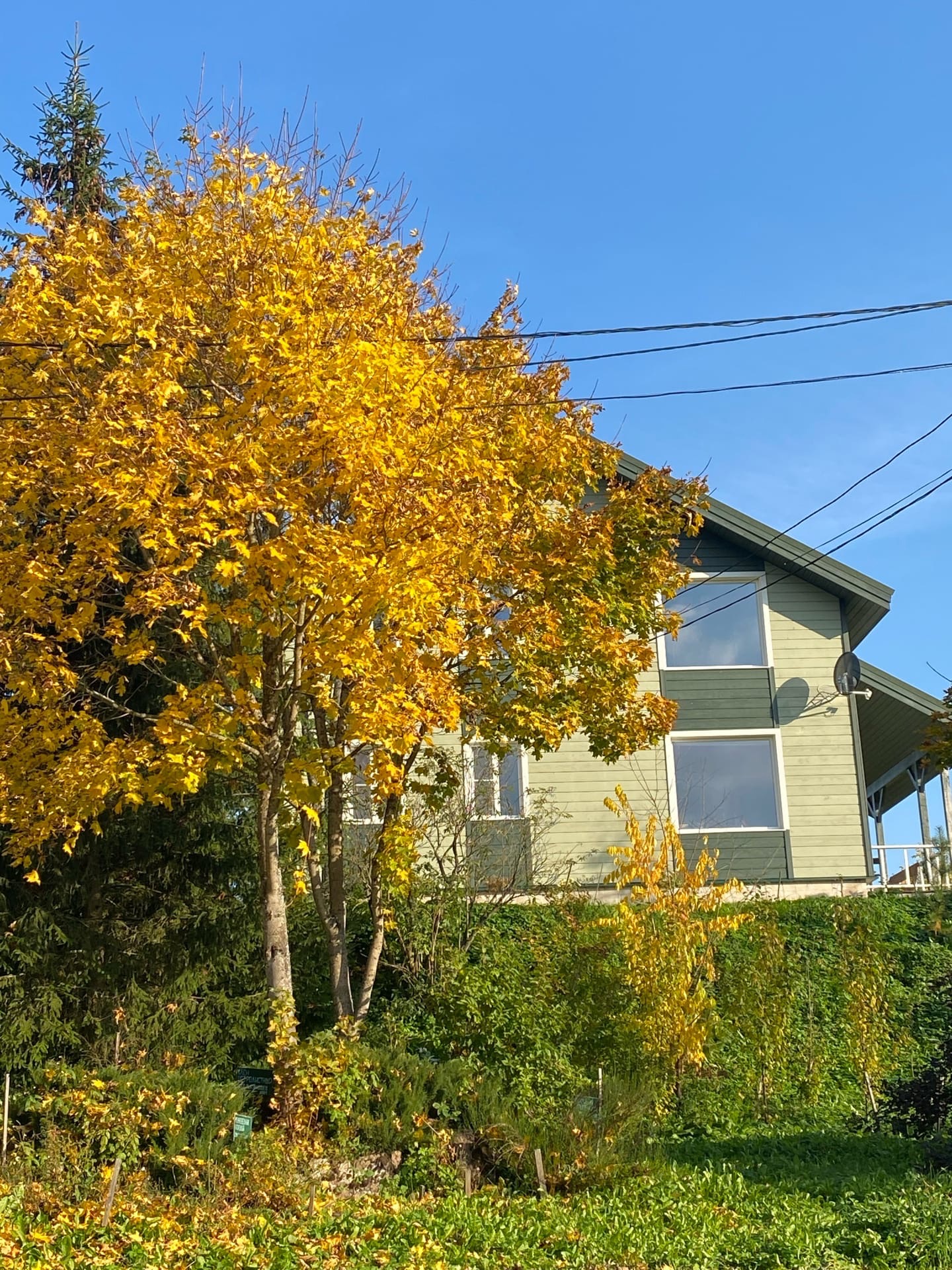 Фото Центр отдыха Усадьба Ястребино