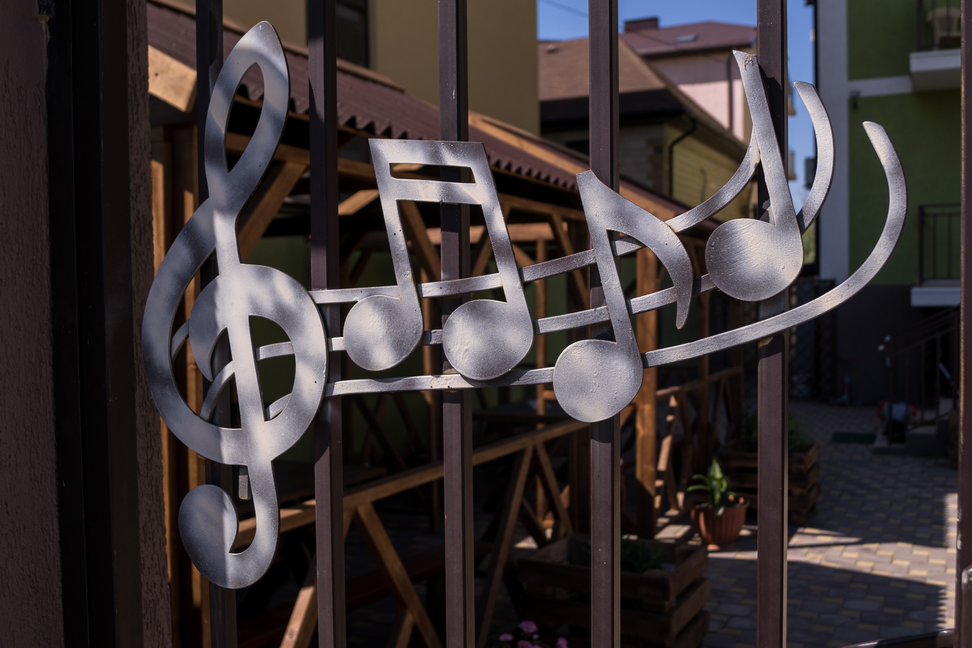 Фото Маэстро