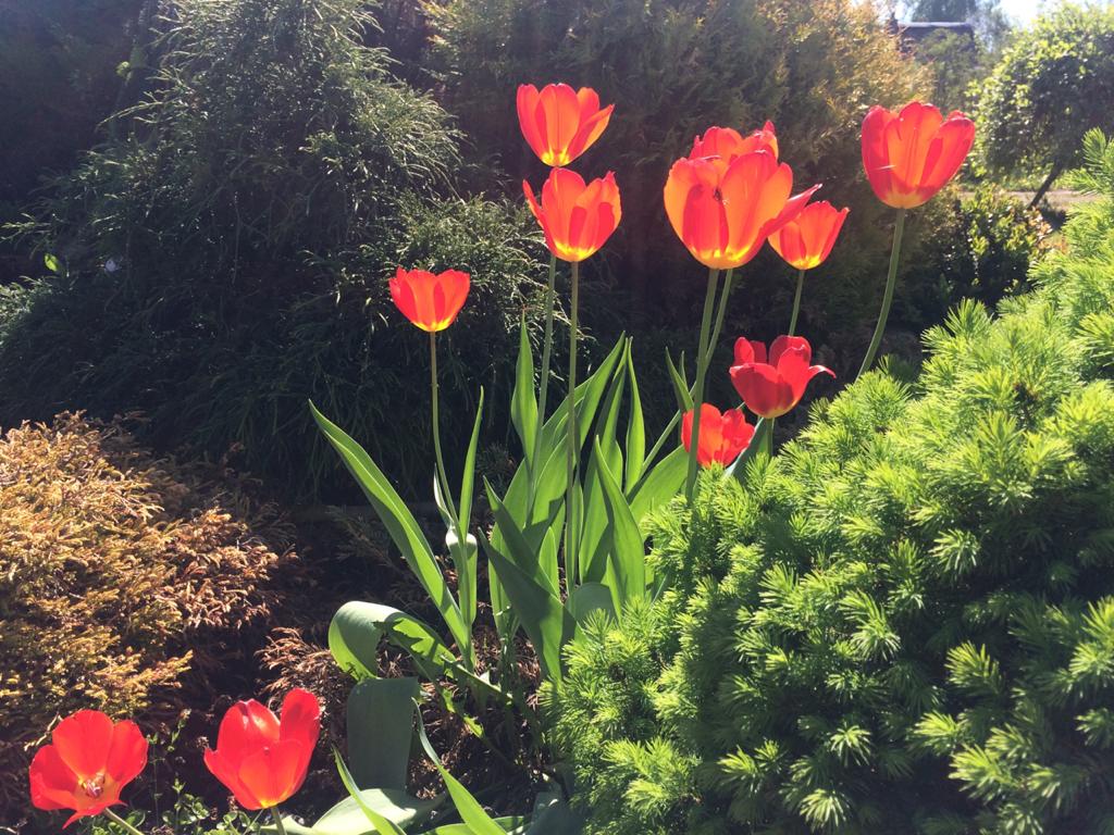 Фото Центр отдыха Усадьба Ястребино