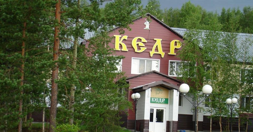 Фото Кедр