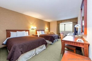 Hotel Universel Montreal (Quebec, Montreal, Sherbrooke Street East, 5000), hotel