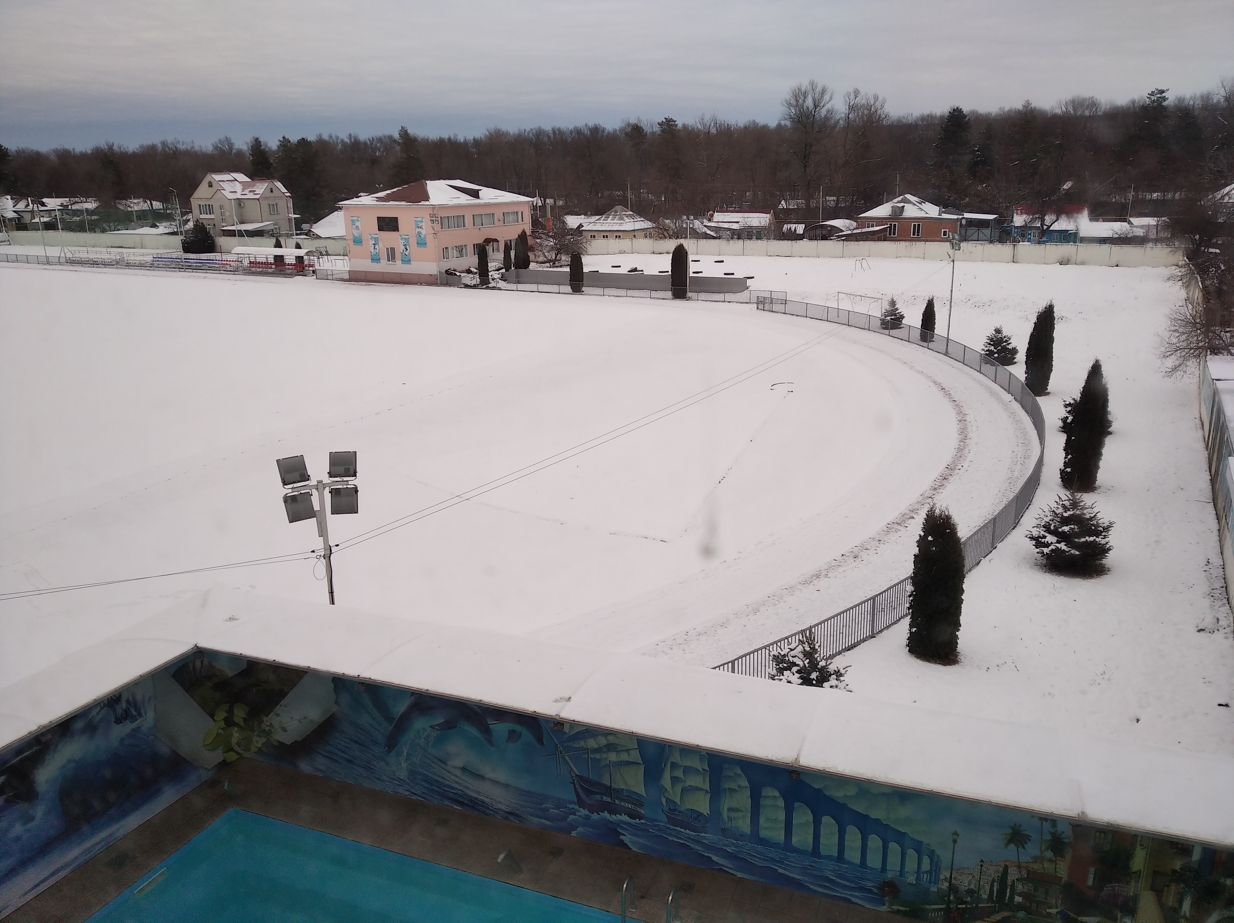 Фото Коралл фемели