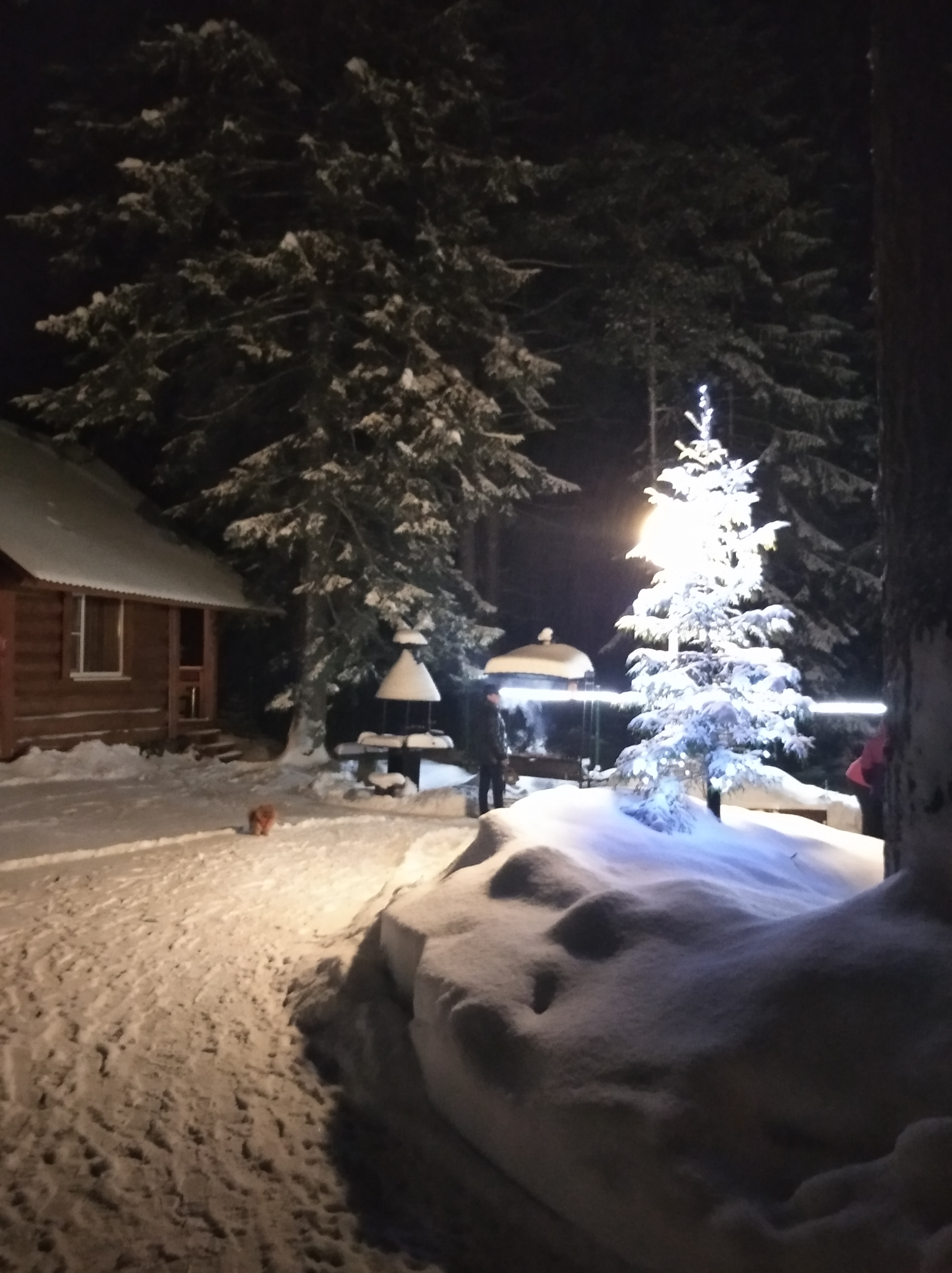 Фото Серебро Онеги