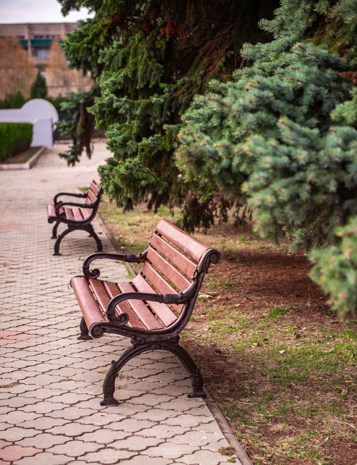 Фото Гагарин