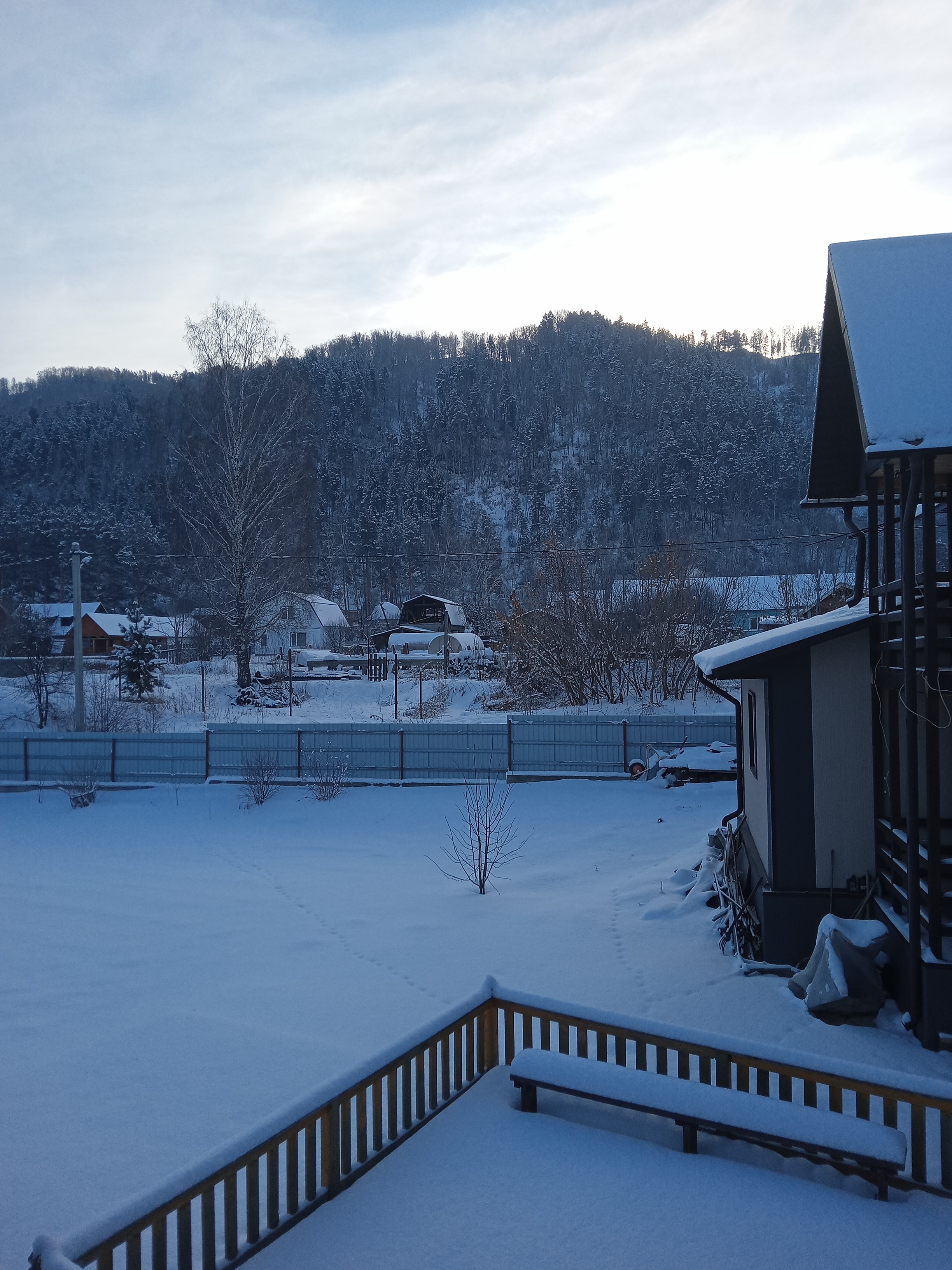 Фото Тёщина роща