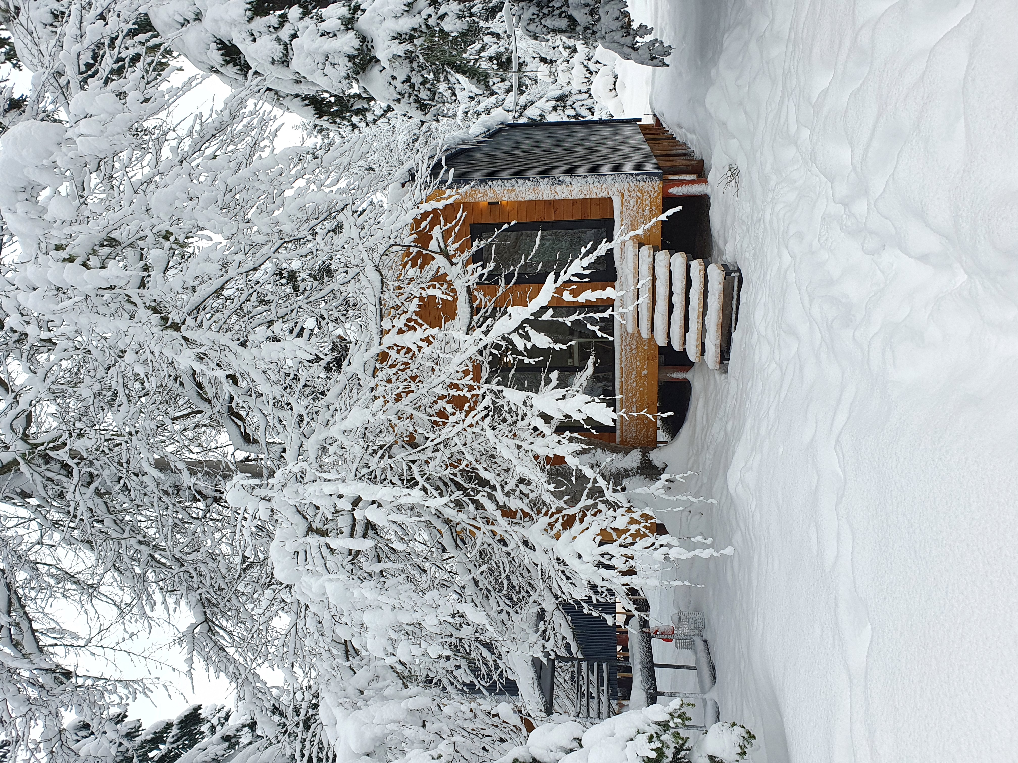 Фото Сияние Family Club