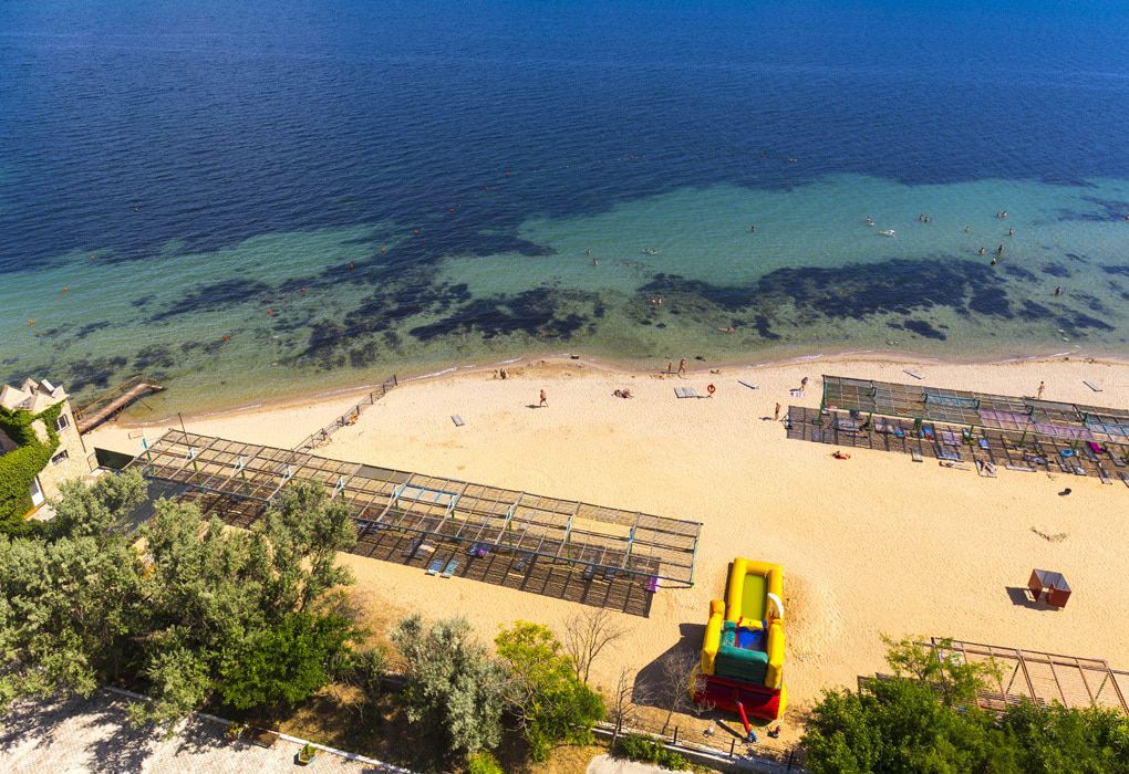 Фото Дружба