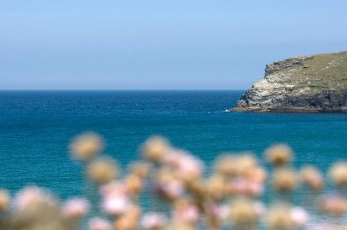 Фото The Port William