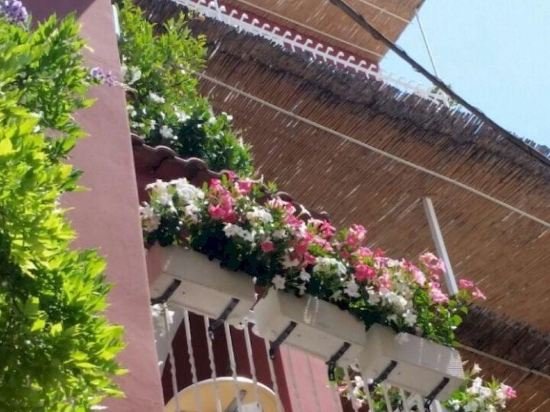 Фото Villa La Tartana