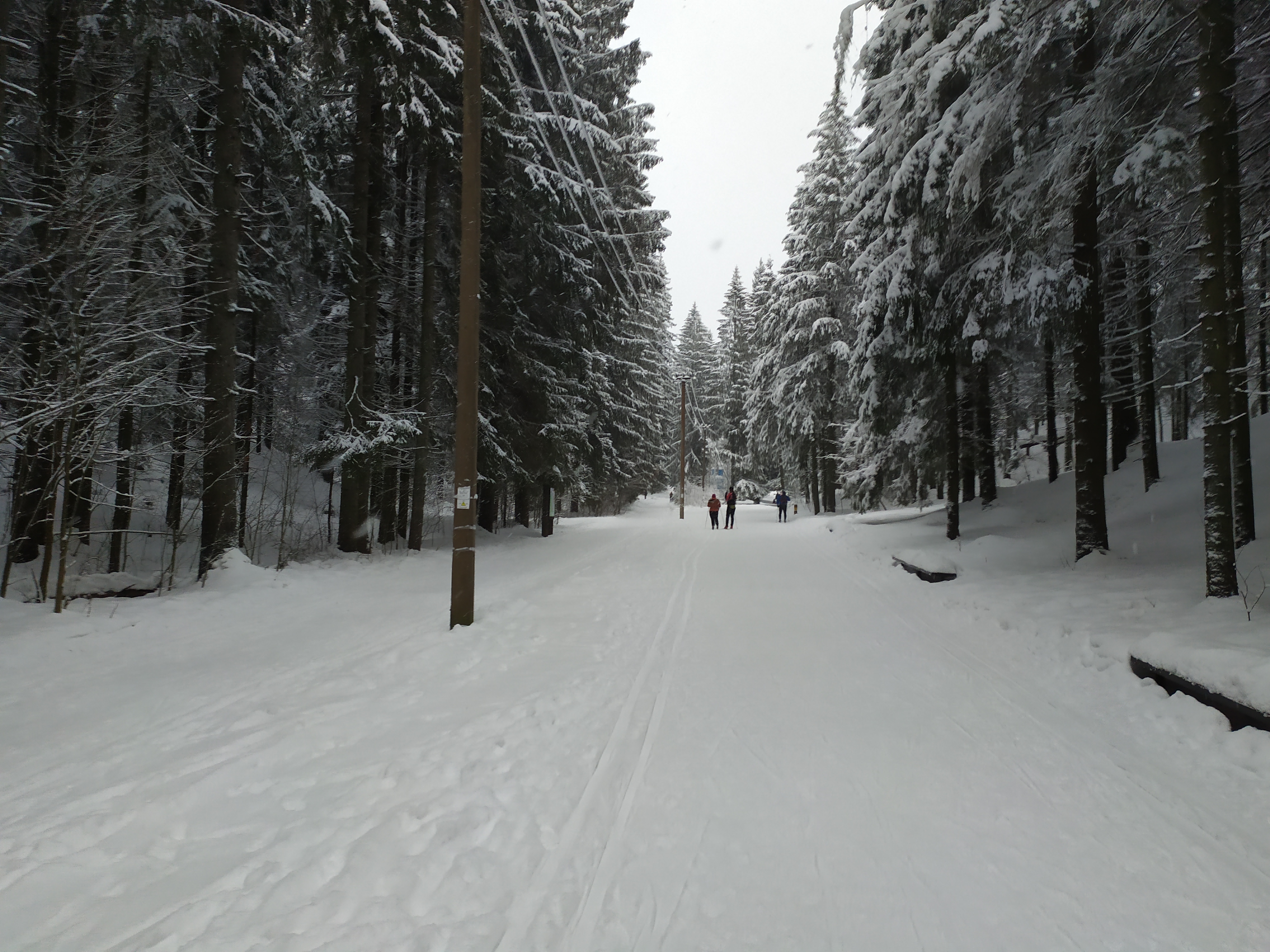 Фото Динамо