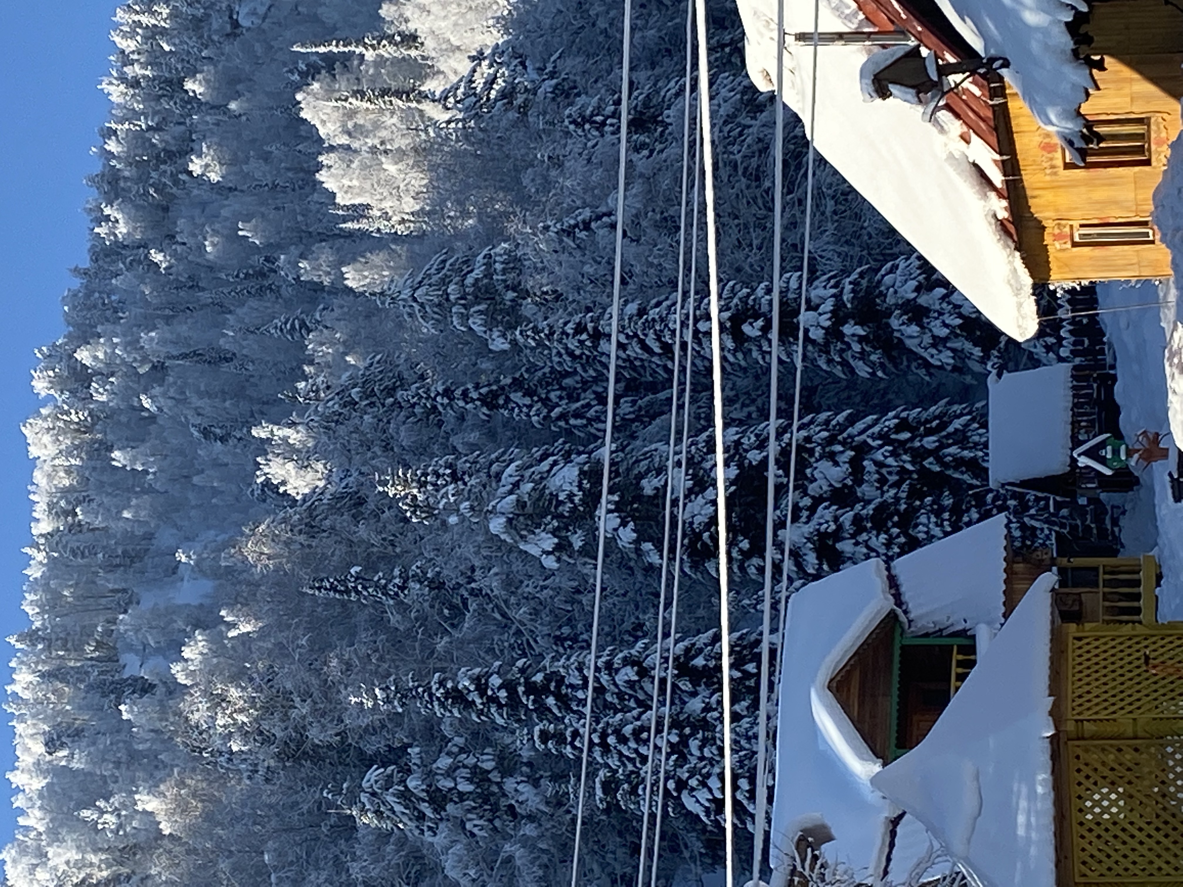 Фото Усадьба Лебедь